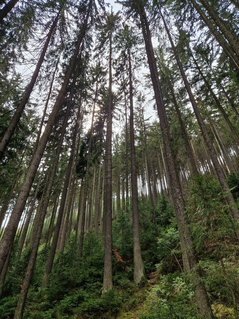 lukasianom OnlyFans - Free Access to 32 Videos & 49 Photos Onlyfans Free Access