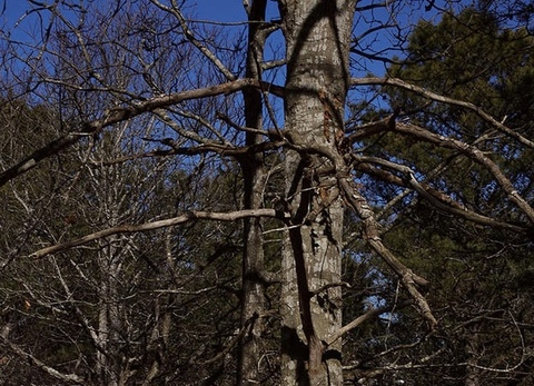 lukebriancooper OnlyFans - Free Access to 32 Videos & 78 Photos Onlyfans Free Access