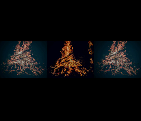 lulbytch OnlyFans - Free Access to 32 Videos & 49 Photos Onlyfans Free Access