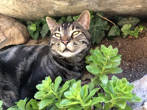 luna6312 OnlyFans - Free Access to 32 Videos & 49 Photos Onlyfans Free Access