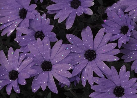 lunaa1994 OnlyFans - Free Access to 32 Videos & 49 Photos Onlyfans Free Access