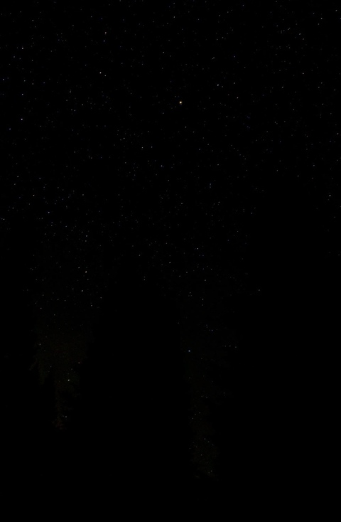 lunasbj OnlyFans - Free Access to 32 Videos & 49 Photos Onlyfans Free Access