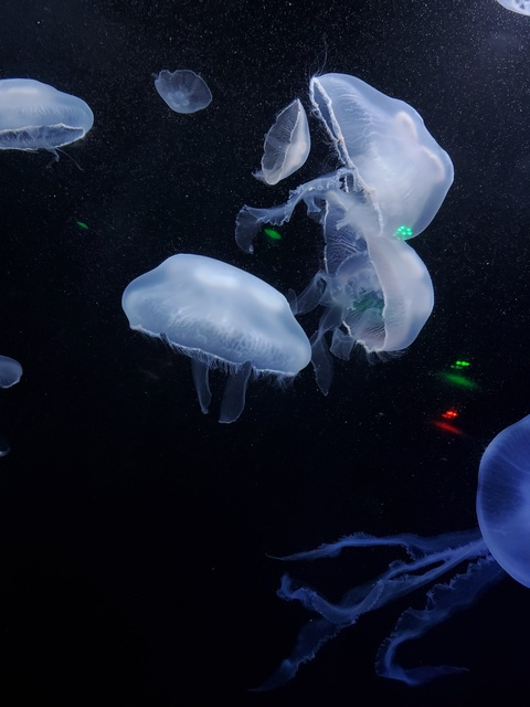 luvsickgirly OnlyFans - Free Access to 32 Videos & 49 Photos Onlyfans Free Access