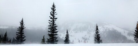 maceeoverstreet OnlyFans - Free Access to 32 Videos & 49 Photos Onlyfans Free Access