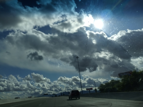 maddieflower OnlyFans - Free Access to 32 Videos & 49 Photos Onlyfans Free Access