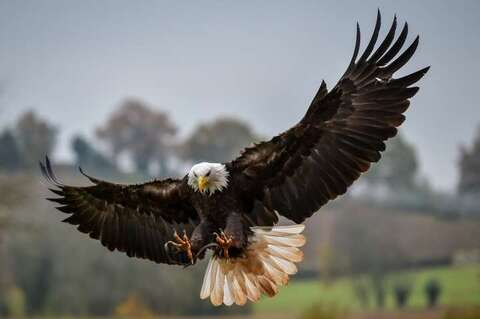 maddogg20203 OnlyFans - Free Access to 32 Videos & 49 Photos Onlyfans Free Access