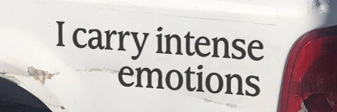 madelinercarter OnlyFans - Free Access to 32 Videos & 49 Photos Onlyfans Free Access