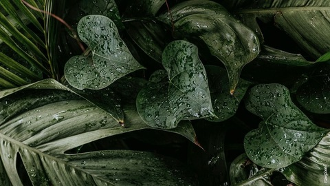 madi.z OnlyFans - Free Access to 32 Videos & 49 Photos Onlyfans Free Access