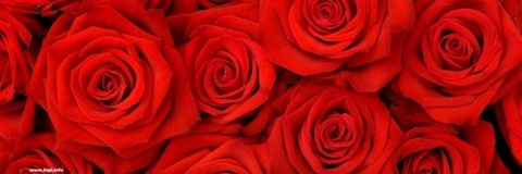 madisonberkleyy OnlyFans - Free Access to 32 Videos & 74 Photos Onlyfans Free Access