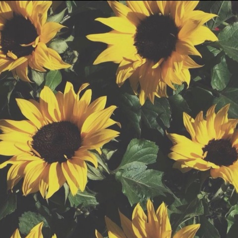 madsxoxox OnlyFans - Free Access to 32 Videos & 49 Photos Onlyfans Free Access