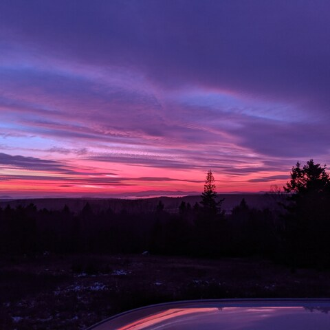 mainebear6934 OnlyFans - Free Access to 32 Videos & 49 Photos Onlyfans Free Access