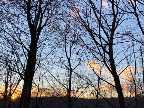 mainsqueezzze OnlyFans - Free Access to 32 Videos & 49 Photos Onlyfans Free Access