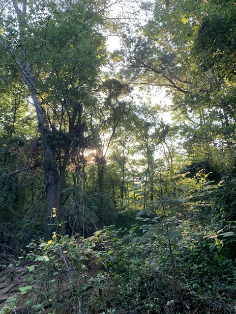 malachitaylor OnlyFans - Free Access to 32 Videos & 49 Photos Onlyfans Free Access