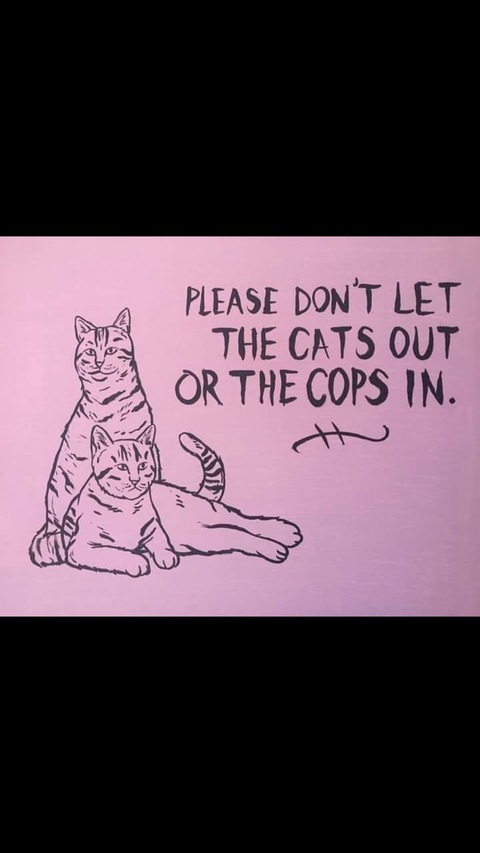 manddderbaby OnlyFans - Free Access to 32 Videos & 68 Photos Onlyfans Free Access