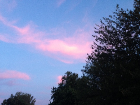 manictipsydreamhurl OnlyFans - Free Access to 32 Videos & 99 Photos Onlyfans Free Access