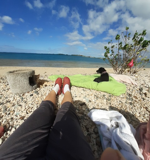 marikopassion OnlyFans - Free Access to 98 Videos & 188 Photos Onlyfans Free Access