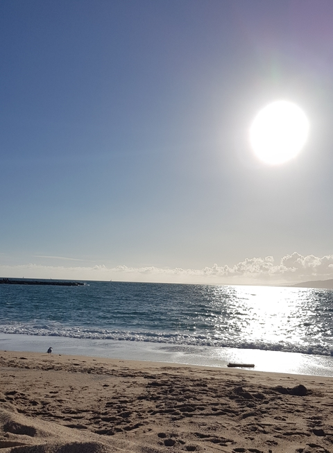 marjo OnlyFans - Free Access to 32 Videos & 49 Photos Onlyfans Free Access