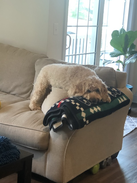 marnie20 OnlyFans - Free Access to 32 Videos & 49 Photos Onlyfans Free Access