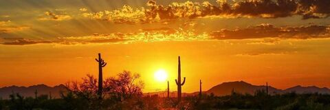 martinarizona OnlyFans - Free Access to 32 Videos & 49 Photos Onlyfans Free Access