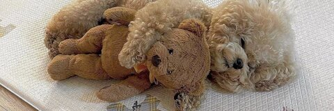 martinurb OnlyFans - Free Access to 32 Videos & 49 Photos Onlyfans Free Access