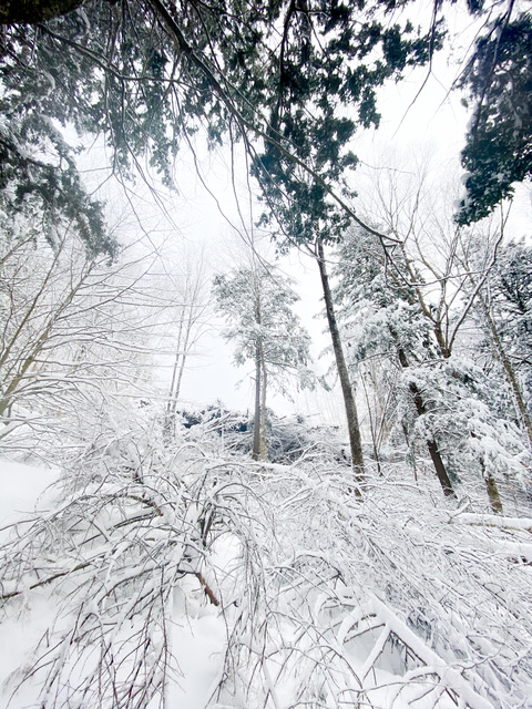 masonwoods420 OnlyFans - Free Access to 141 Videos & 730 Photos Onlyfans Free Access