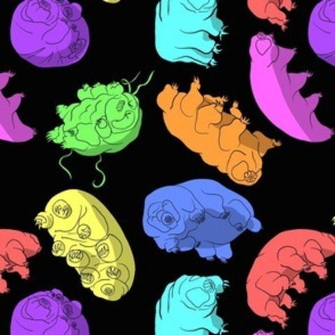 may185 OnlyFans - Free Access to 32 Videos & 49 Photos Onlyfans Free Access