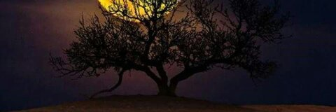 medland OnlyFans - Free Access to 32 Videos & 49 Photos Onlyfans Free Access