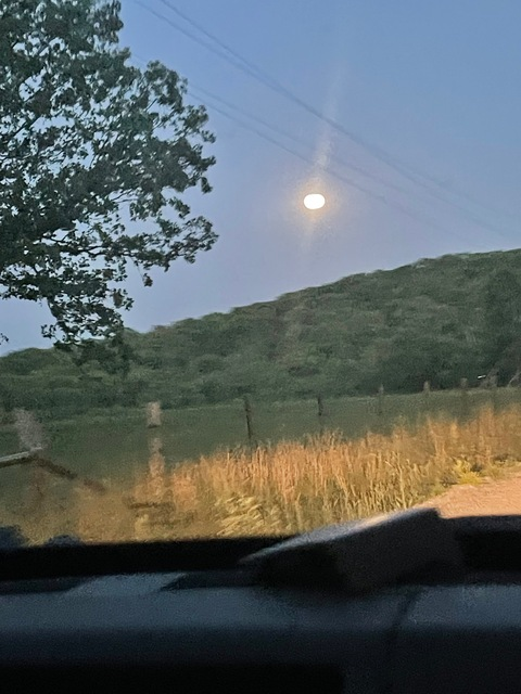 medusainkbabes OnlyFans - Free Access to 32 Videos & 49 Photos Onlyfans Free Access