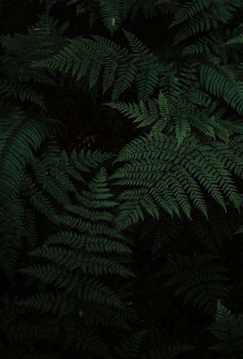 medusasaidit OnlyFans - Free Access to 32 Videos & 49 Photos Onlyfans Free Access