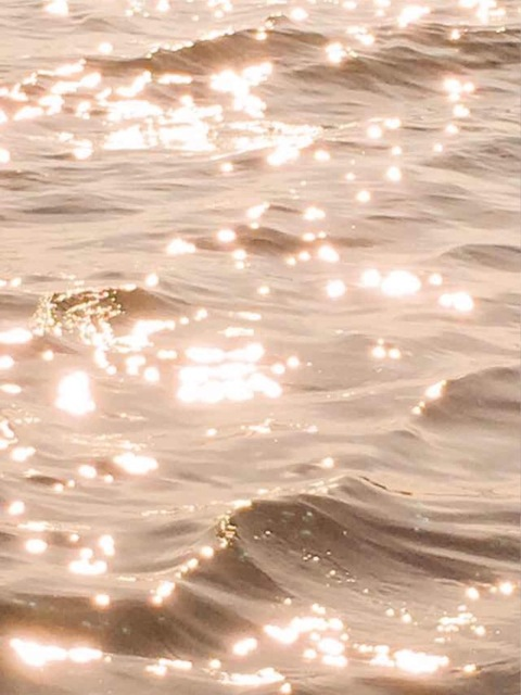 meech01xoxo OnlyFans - Free Access to 45 Videos & 124 Photos Onlyfans Free Access