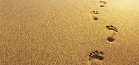 meganthev OnlyFans - Free Access to 32 Videos & 49 Photos Onlyfans Free Access