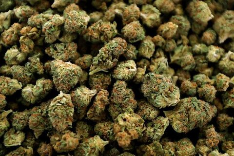 melanatedpothead OnlyFans - Free Access to 40 Videos & 49 Photos Onlyfans Free Access