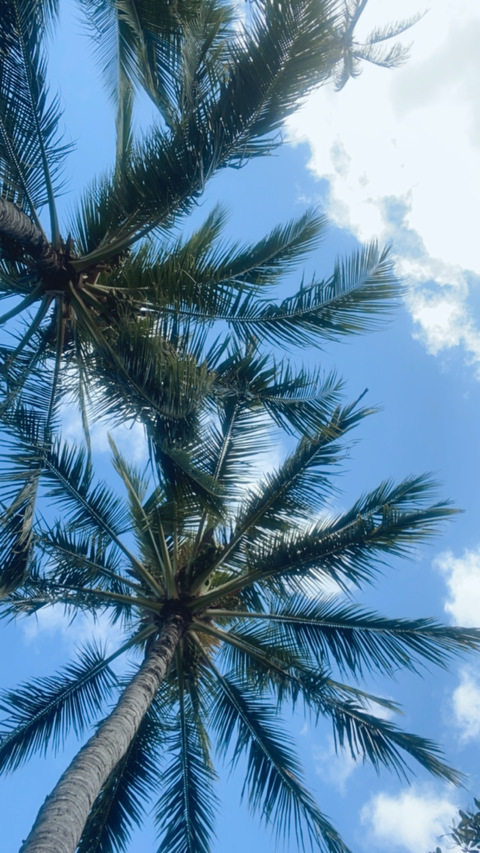 melasada OnlyFans - Free Access to 32 Videos & 65 Photos Onlyfans Free Access