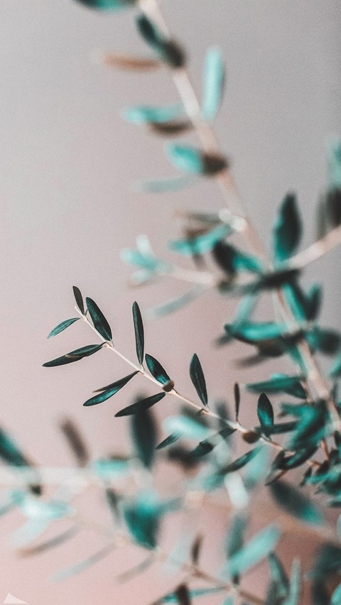 melissagirl OnlyFans - Free Access to 32 Videos & 49 Photos Onlyfans Free Access