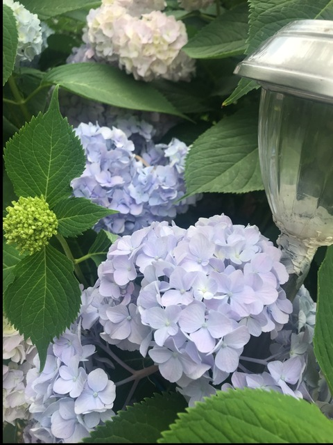 mellyme OnlyFans - Free Access to 32 Videos & 49 Photos Onlyfans Free Access