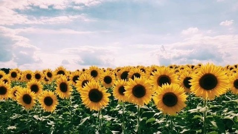 meryags OnlyFans - Free Access to 32 Videos & 49 Photos Onlyfans Free Access