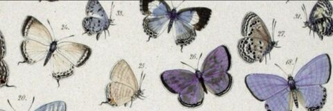 miaaajade OnlyFans - Free Access to 32 Videos & 49 Photos Onlyfans Free Access