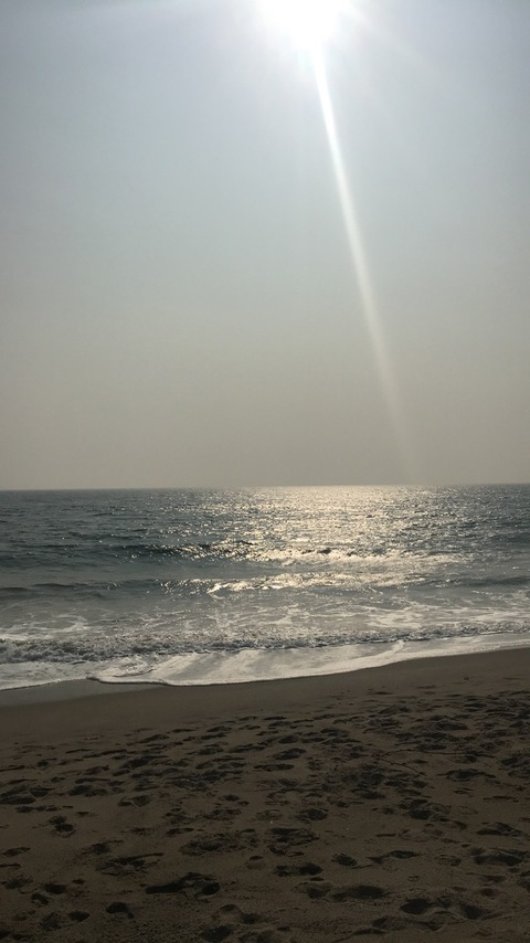 michaelhartman OnlyFans - Free Access to 32 Videos & 49 Photos Onlyfans Free Access