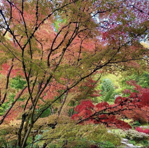 michafairy OnlyFans - Free Access to 42 Videos & 792 Photos Onlyfans Free Access