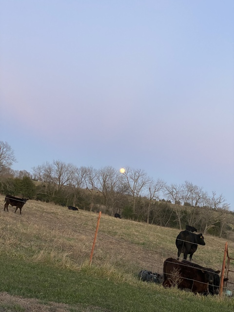 midwestxxx OnlyFans - Free Access to 32 Videos & 49 Photos Onlyfans Free Access