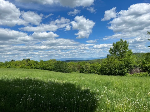 mifinthemirror OnlyFans - Free Access to 32 Videos & 49 Photos Onlyfans Free Access