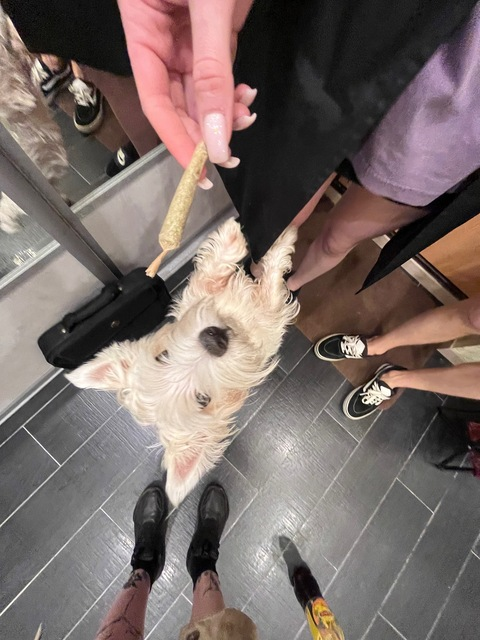 milashka420 OnlyFans - Free Access to 32 Videos & 308 Photos Onlyfans Free Access