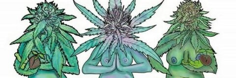 milfshit OnlyFans - Free Access to 32 Videos & 362 Photos Onlyfans Free Access