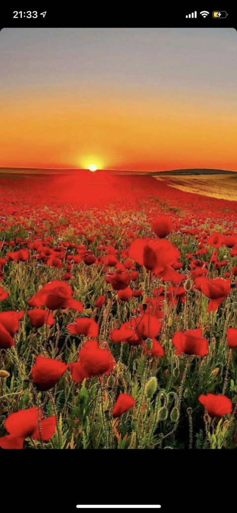 military_wife OnlyFans - Free Access to 32 Videos & 49 Photos Onlyfans Free Access