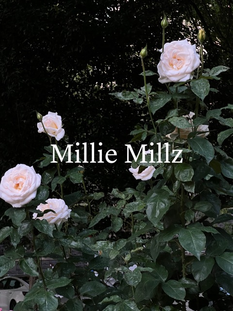 milliemillz OnlyFans - Free Access to 203 Videos & 2955 Photos Onlyfans Free Access