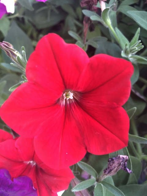 milltater0619 OnlyFans - Free Access to 32 Videos & 49 Photos Onlyfans Free Access