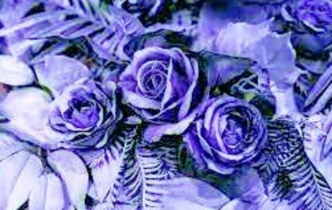 minachanel OnlyFans - Free Access to 32 Videos & 49 Photos Onlyfans Free Access