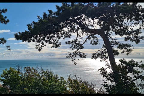 mind-and-feet OnlyFans - Free Access to 32 Videos & 49 Photos Onlyfans Free Access