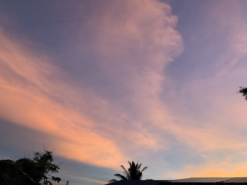 minjiyaa01 OnlyFans - Free Access to 32 Videos & 123 Photos Onlyfans Free Access