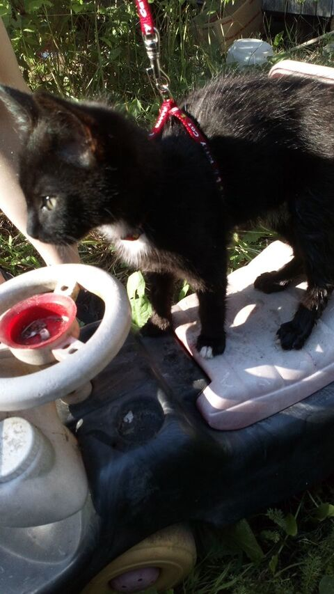 minnaaws OnlyFans - Free Access to 32 Videos & 49 Photos Onlyfans Free Access